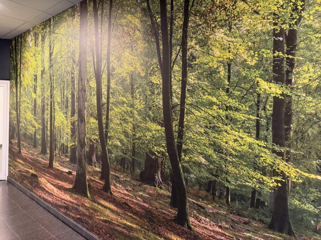 Stadtgalerie Langenfeld 2026 110 Stadtgalerie Langenfeld